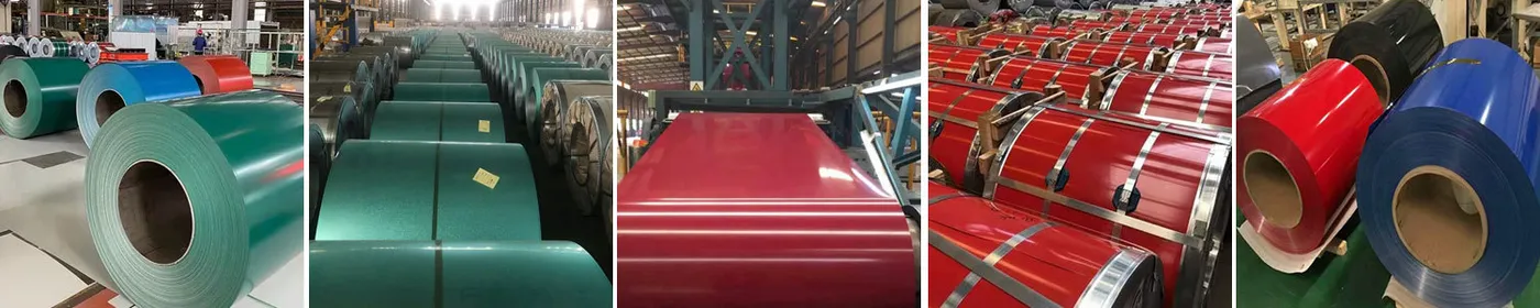 Color Coated  304  Stainless Steel